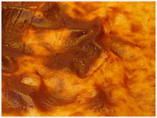 Flan Patissier aux Pommes