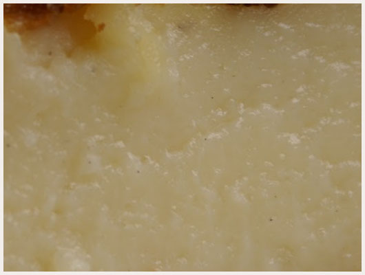 Flan Patissier Avec Pate