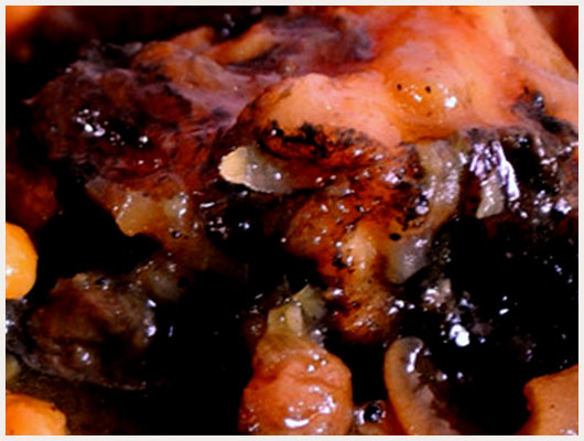 Foie de Veau aux Raisins