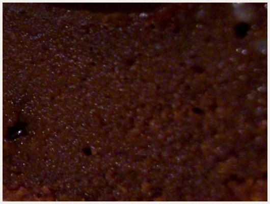 Fondant au chocolat sans beurre