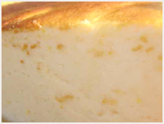 Gateau au Fromage Blanc allégé