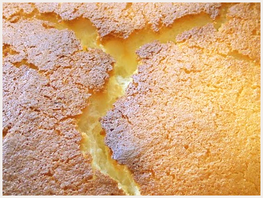 Gateau au Fromage Blanc Alsacien