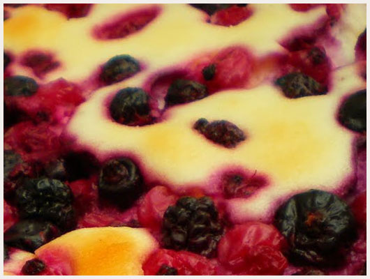Gateau au Fromage Blanc et Fruits Rouges