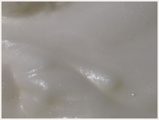 Gateau au Fromage Blanc Polonais