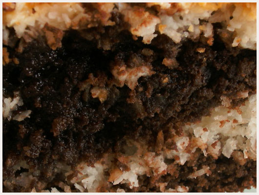 Gateau au Nutella et noix de coco