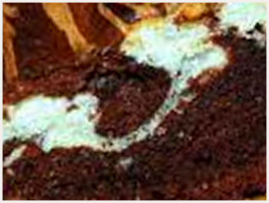 Gateau au Nutella sans beurre