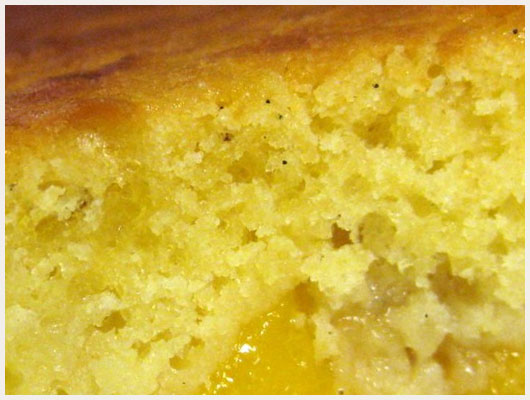 Gateau au Yaourt Allégé