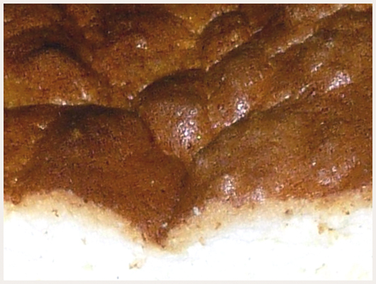 Gateau au Yaourt Dukan sans Son
