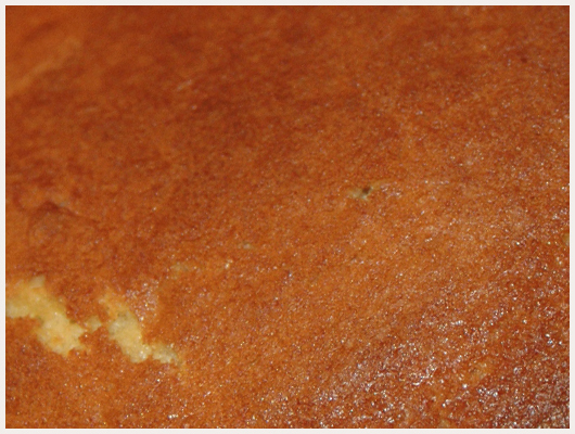 Gateau au Yaourt Sans Levure