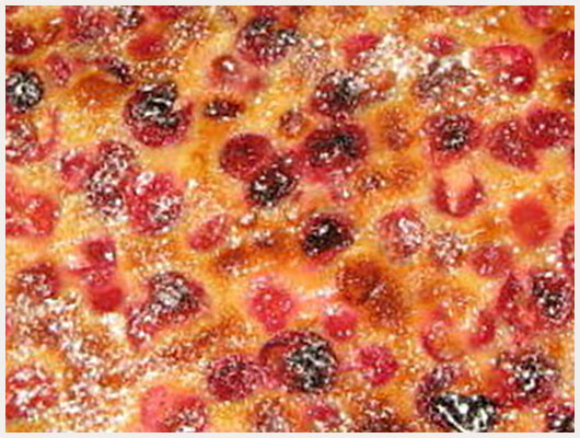 Gateau aux cerises aigres
