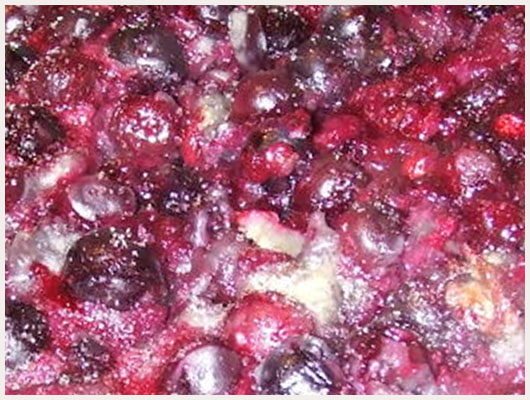 Gateau aux cerises