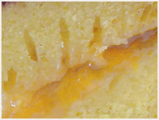 Gateau de Paques facile