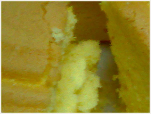 Gateau de Paques portugais