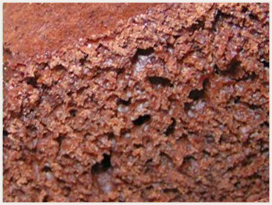 Gateau de Savoie au chocolat