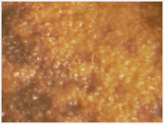 Gateau de semoule au four