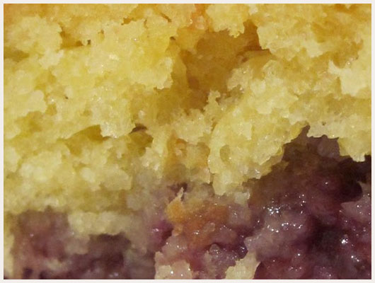 Gateau nature à la confiture