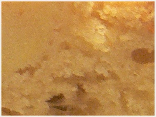 Gateau nature aux pommes