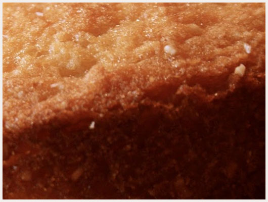 Gateau Nature Rapide