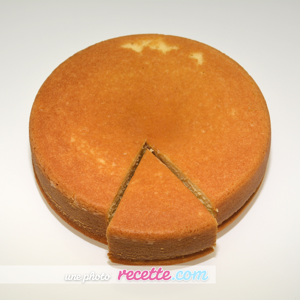 Gateau Nature sans Yaourt