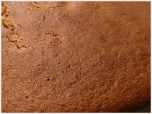 Gateau Nature Sucré
