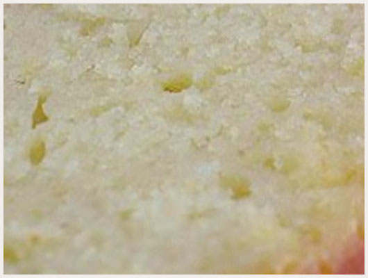 Gateau Nature Yaourt
