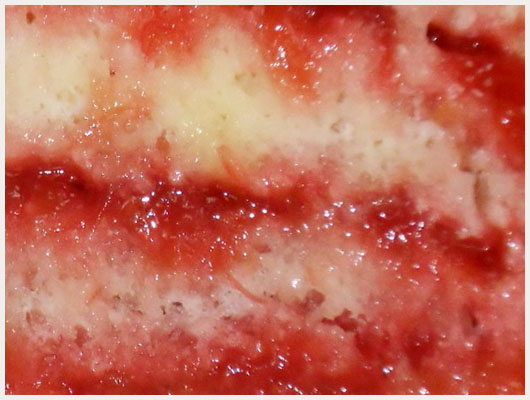Gateau Roulé à la Confiture