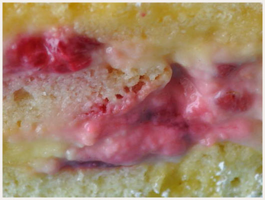 Gateau roulé aux framboises