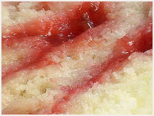 Gateau Roulé Fraise