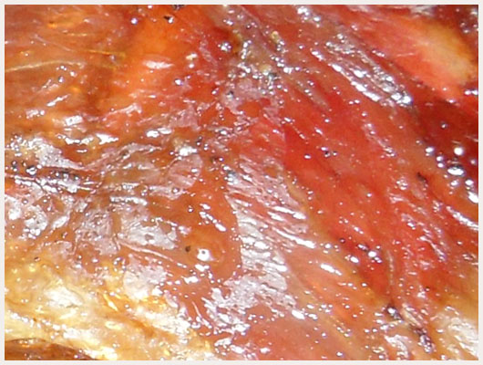Gigot d'Agneau  la Broche
