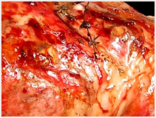 Gigot d'Agneau au Four Miel