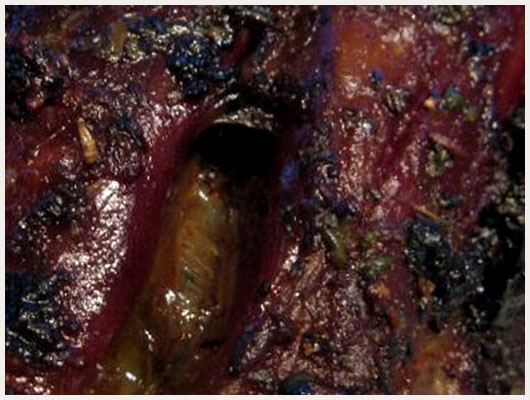 Gigot d'Agneau Confit