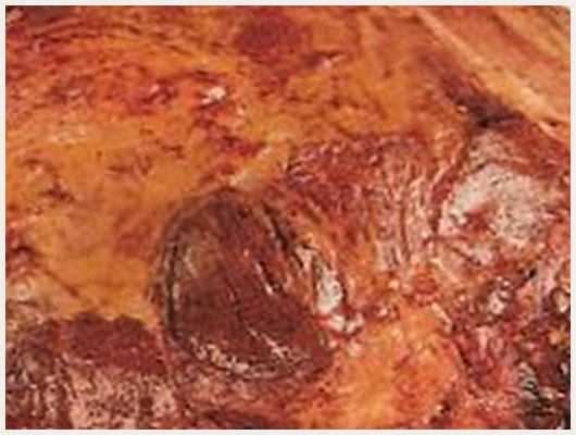 Gigot d'Agneau Grecque