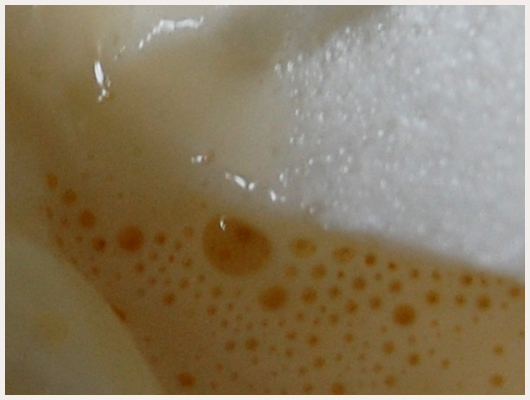 Ile flottante Dukan
