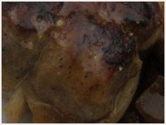 Paupiette de Veau Sauce Forestire