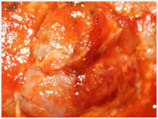 Paupiette de Veau Sauce Tomate