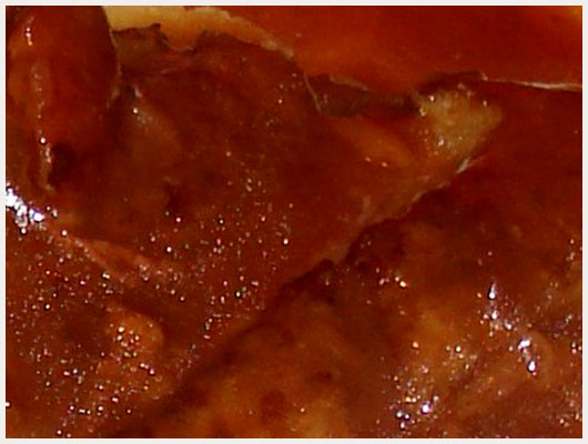 Pav de Biche aux Griottes
