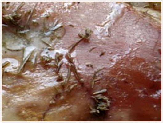 Poitrine d'Agneau au Four