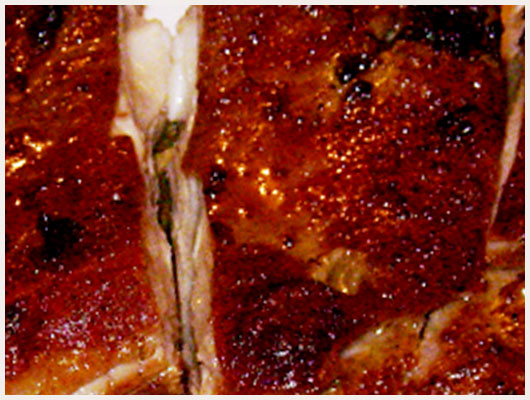Poitrine d'Agneau Facile