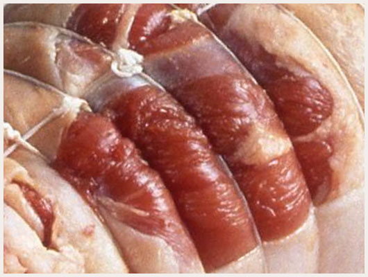 Poitrine d'Agneau Roulée