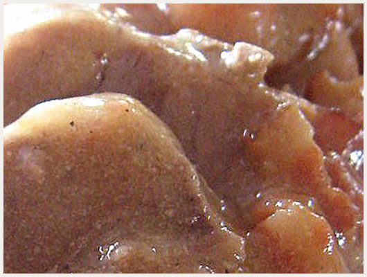 Porc Orloff Tranche