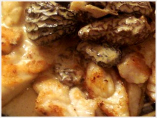 Ris de Veau aux Champignons