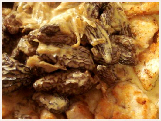Ris de Veau aux Truffes