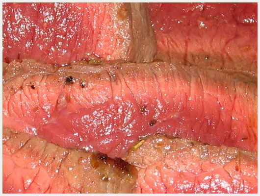 Roti de Boeuf Facile