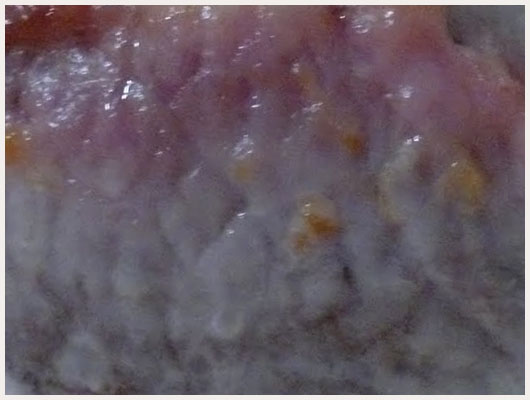 Rôti de Porc au Lait de Coco