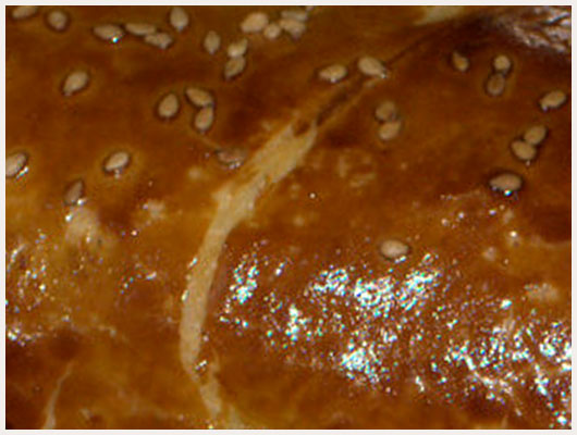 Roti de Veau en Croute