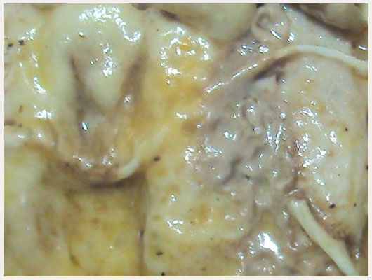 Roti de Veau Orloff en Cocotte