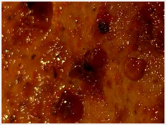 Rouelle de Porc au Miel et au Cidre