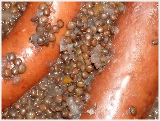 Saucisses de Porc Lentilles