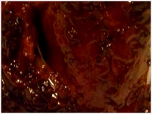 Souris d'Agneau Caramélisées