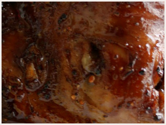 Souris d'Agneau de 7 heures